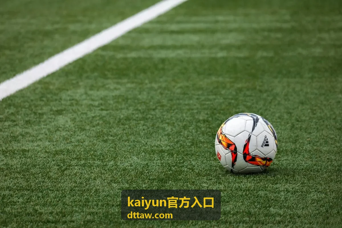 kaiyun官方入口访问异常自查步骤封面